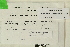  (Polytrichastrum ohioense - CCDB-25687-C03)  @11 [ ] CreativeCommons - Attribution Non-Commercial Share-Alike (2018) Masha L. Kuzmina Canadian Centre for DNA Barcoding