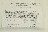  (Cyrtomnium hymenophyloides - CCDB-25687-C05)  @11 [ ] CreativeCommons - Attribution Non-Commercial Share-Alike (2018) Masha L. Kuzmina Canadian Centre for DNA Barcoding