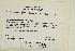  (Schistidium frisvollianum - CCDB-25687-G12)  @11 [ ] CreativeCommons - Attribution Non-Commercial Share-Alike (2018) Masha L. Kuzmina Canadian Centre for DNA Barcoding