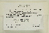  (Plagiopus oederianus - CCDB-25687-H11)  @11 [ ] CreativeCommons - Attribution Non-Commercial Share-Alike (2018) Masha L. Kuzmina Canadian Centre for DNA Barcoding