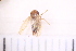  ( - BS3_29.07.16 He3)  @11 [ ] CreativeCommons - Attribution Non-Commercial Share-Alike (2017) Unspecified Institut de Recherche sur la Biologie de l'Insecte