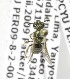  (Lasioglossum paitense - CCDB-03753 B10)  @11 [ ] CreativeCommons - Attribution Non-Commercial Share-Alike (2010) Unspecified York University