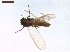  ( - LS-IRBI-CANOP1125)  @11 [ ] Copyright (2021) Lucas Sire Institut de Recherche sur la Biologie de l Insecte