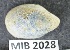  ( - MIB2028)  @11 [ ] © Copyright Government of Canada (2021) Unspecified Government of Canada
