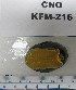  ( - KFM-216)  @12 [ ] No Rights Reserved (2009) Unspecified Coastal Marine Biolabs