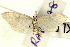  ( - UKLB6E09)  @12 [ ] CreativeCommons - Attribution (2009) Unspecified Centre for Biodiversity Genomics