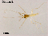  ( - XL1104)  @11 [ ] CreativeCommons-Attribution Non-Commercial Share-Alike (2020) Xiaolong Lin Nankai University, College of Life Sciences