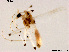  ( - XL1454)  @11 [ ] CreativeCommons - Attribution Non-Commercial Share-Alike (2018) Xiaolong Lin College of Life Sciences, Nankai University