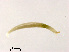  (Demicryptochironomus sp. 1XL - XL1827)  @11 [ ] CreativeCommons - Attribution Non-Commercial Share-Alike (2019) Xiaolong Lin College of Life Sciences, Nankai University