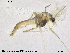  ( - CH-eik62)  @12 [ ] CreativeCommons - Attribution Non-Commercial Share-Alike (2013) NTNU Museum of Natural History and Archaeology NTNU Museum of Natural History and Archaeology