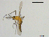  ( - XJ221)  @11 [ ] CreativeCommons - Attribution Non-Commercial Share-Alike (2018) Xiaolong Lin Department of Natural History, NTNU University Museum