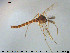  ( - TRD-CH374)  @13 [ ] CreativeCommons - Attribution Non-Commercial Share-Alike (2015) NTNU University Museum, Department of Natural History NTNU University Museum, Department of Natural History
