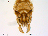  ( - Finnmark416)  @12 [ ] CreativeCommons - Attribution Non-Commercial Share-Alike (2012) NTNU Museum of Natural History and Archaeology NTNU Museum of Natural History and Archaeology