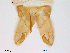  ( - Finnmark554)  @13 [ ] CreativeCommons - Attribution Non-Commercial Share-Alike (2012) NTNU Museum of Natural History and Archaeology NTNU Museum of Natural History and Archaeology