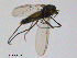  ( - GL58)  @12 [ ] CreativeCommons - Attribution Non-Commercial Share-Alike (2011) NTNU Museum of Natural History and Archaeology NTNU Museum of Natural History and Archaeology