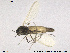  ( - SV 792)  @12 [ ] CreativeCommons - Attribution Non-Commercial Share-Alike (2013) NTNU Museum of Natural History and Archaeology NTNU Museum of Natural History and Archaeology