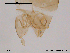  ( - CHIR_CH51)  @12 [ ] CreativeCommons - Attribution Non-Commercial Share-Alike (2010) Unspecified NTNU Museum of Natural History and Archaeology