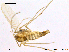  ( - CHIR_CH652)  @12 [ ] CreativeCommons - Attribution Non-Commercial Share-Alike (2010) Unspecified NTNU Museum of Natural History and Archaeology