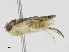  ( - CBG-A16663-E07)  @11 [ ] CreativeCommons - Attribution Share-Alike (2023) CBG Photography Group Centre for Biodiversity Genomics