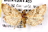  (Anemosella - BIOUG02044-A03)  @14 [ ] CreativeCommons - Attribution (2012) CBG Photography Group Centre for Biodiversity Genomics