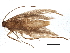  ( - BIOUG05835-B02)  @12 [ ] CreativeCommons - Attribution (2013) CBG Photography Group Centre for Biodiversity Genomics