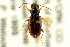  ( - CNC COLEO 00118301)  @11 [ ] CreativeCommons - Attribution (2011) CNC/CBG Photography Group Centre for Biodiversity Genomics