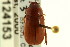  ( - CNC COLEO 00124153)  @14 [ ] CreativeCommons - Attribution (2011) CNC/CBG Photography Group Centre for Biodiversity Genomics