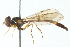  ( - CNC DIPTERA 103011)  @11 [ ] CreativeCommons - Attribution (2011) CNC/CBG Photography Group Centre for Biodiversity Genomics