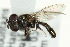  ( - CNC DIPTERA 9813)  @12 [ ] CreativeCommons - Attribution (2011) CNC/CBG Photography Group Centre for Biodiversity Genomics