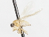  ( - CNC DIPTERA 105468)  @11 [ ] CreativeCommons - Attribution (2011) CNC/CBG Photography Group Centre for Biodiversity Genomics