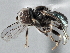  ( - CNC DIPTERA 137615)  @14 [ ] CreativeCommons - Attribution (2013) CNC/CBG Photography Group Centre for Biodiversity Genomics