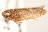  ( - CNC#HEM405322)  @14 [ ] CreativeCommons - Attribution (2012) CNC/CBG Photography Group Centre for Biodiversity Genomics