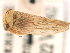  ( - CNC#HEM405506)  @11 [ ] CreativeCommons - Attribution (2012) CBG Photography Group Centre for Biodiversity Genomics