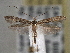  ( - CNCLEP00101425)  @14 [ ] CreativeCommons - Attribution (2013) CNC/CBG Photography Group Centre for Biodiversity Genomics