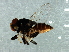  (Rhodesiella sp. 5 - Cau00361)  @11 [ ] CreativeCommons - Attribution (2009) Unspecified Centre for Biodiversity Genomics