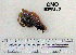  ( - OGL-E01533)  @11 [ ] No Rights Reserved (2009) Unspecified Coastal Marine Biolabs