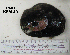  (Megathura - OGL-E01551)  @12 [ ] No Rights Reserved (2009) Unspecified Coastal Marine Biolabs