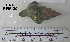  ( - OGL-E01566)  @11 [ ] No Rights Reserved (2009) Unspecified Coastal Marine Biolabs