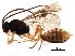  ( - BIOUG14107-H03)  @12 [ ] CreativeCommons - Attribution (2018) CBG Photography Group Centre for Biodiversity Genomics