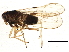  ( - BIOUG03443-D09)  @12 [ ] CreativeCommons - Attribution (2013) CBG Photography Group Centre for Biodiversity Genomics