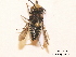  ( - BCA0784)  @11 [ ] CC-BY-NC (2021) ARTHROPOLOGIA ARTHROPOLOGIA