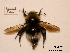  ( - BCA0872)  @11 [ ] CC-BY-NC (2021) ARTHROPOLOGIA ARTHROPOLOGIA