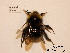  ( - BCA0873)  @11 [ ] CC-BY-NC (2021) ARTHROPOLOGIA ARTHROPOLOGIA