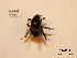  ( - BCA0890)  @11 [ ] CC-BY-NC (2021) ARTHROPOLOGIA ARTHROPOLOGIA