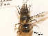  ( - BCA0897)  @11 [ ] CC-BY-NC (2021) ARTHROPOLOGIA ARTHROPOLOGIA