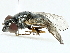  ( - BIOUG91358-G03)  @11 [ ] CreativeCommons - Attribution (2022) CBG Photography Group Centre for Biodiversity Genomics