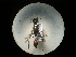  (Trigonopsis intermedia - CCDB-09784-H10)  @11 [ ] Copyright  G. Blagoev 2010 Unspecified