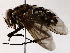  ( - BIOUG64405-A03)  @11 [ ] CreativeCommons - Attribution (2022) CBG Photography Group Centre for Biodiversity Genomics