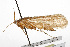  ( - CSUPOBK-0860)  @14 [ ] CreativeCommons - Attribution (2010) CBG Photography Group Centre for Biodiversity Genomics
