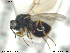  ( - CYNNI195)  @13 [ ] CreativeCommons - Attribution Non-Commercial Share-Alike (2013) Arnstein Staverlokk Norwegian Institute of Nature Research